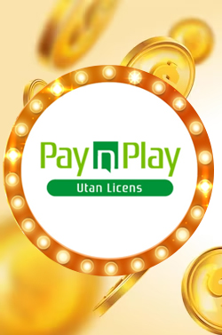 paynplayutanlicens